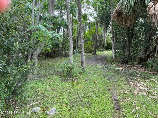 6001 Bird Island Dr, Lady Lake, FL 32159 - photo 27