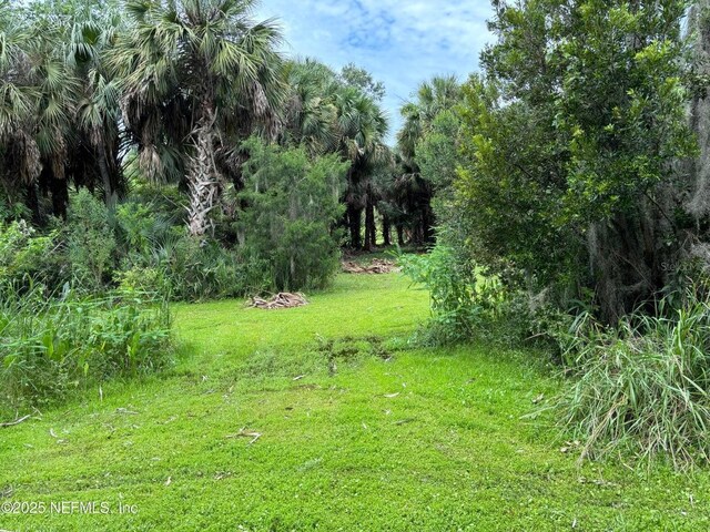 6001 Bird Island Dr, Lady Lake, FL 32159 - photo 28