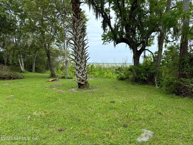 6001 Bird Island Dr, Lady Lake, FL 32159 - photo 29