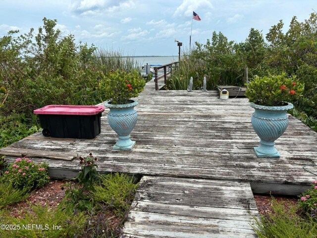 6001 Bird Island Dr, Lady Lake, FL 32159 - photo 34