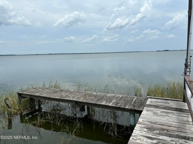 6001 Bird Island Dr, Lady Lake, FL 32159 - photo 36