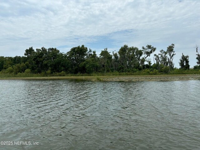 6001 Bird Island Dr, Lady Lake, FL 32159 - photo 39