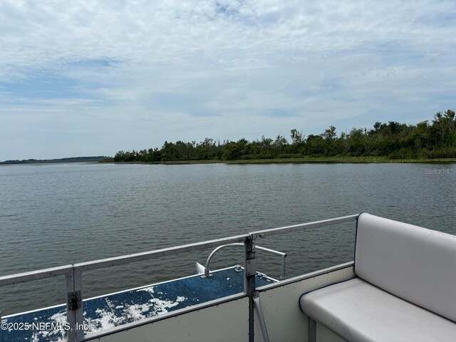 6001 Bird Island Dr, Lady Lake, FL 32159 - photo 49
