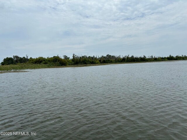 6001 Bird Island Dr, Lady Lake, FL 32159 - photo 50