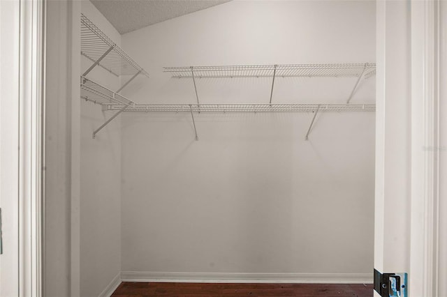 walk in closet featuring dark wood finished floors