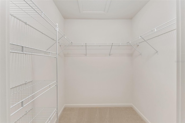 spacious closet with light colored carpet