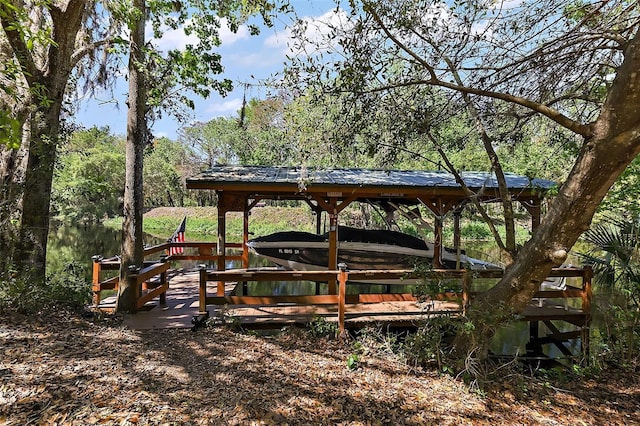 view of property's community featuring boat lift and a dock