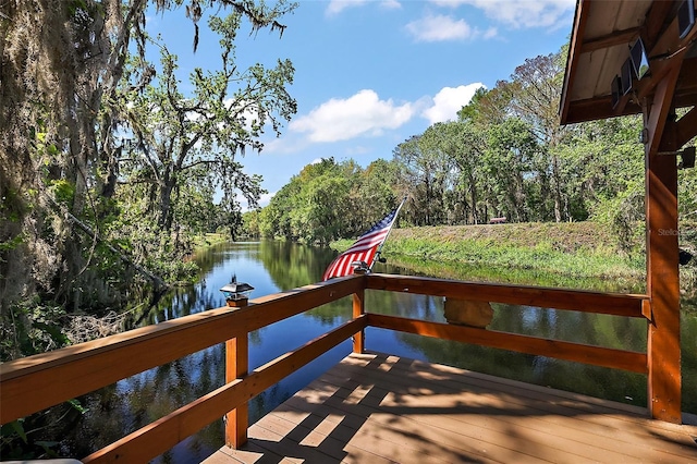 dock area with a water view