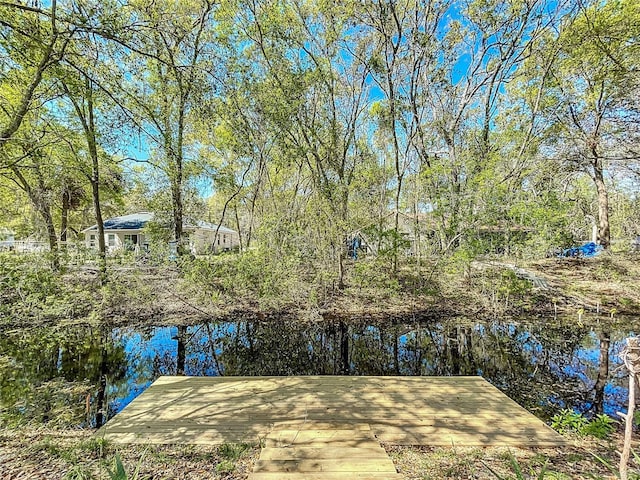 view of dock with a water view