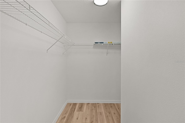 walk in closet featuring light wood-style floors