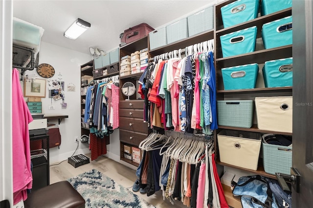 view of spacious closet