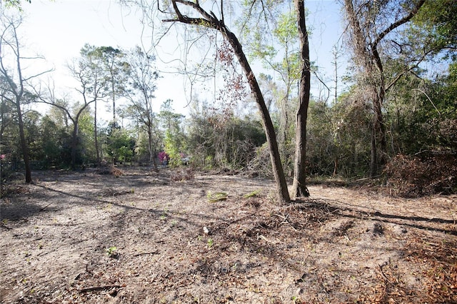 48032 1st St, Altoona FL, 32702 land for sale