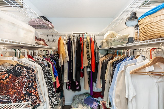 view of spacious closet