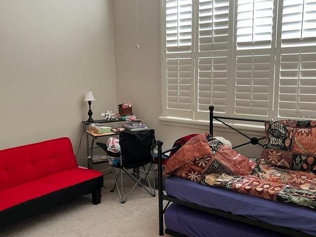 bedroom featuring carpet