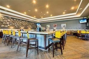 bar featuring a raised ceiling