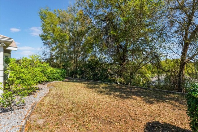 6200 Topsail Rd, Lady Lake, FL 32159 - view of yard