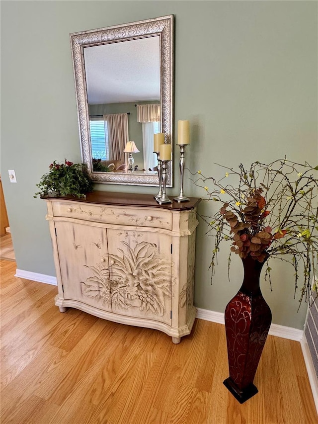 interior details featuring baseboards and wood finished floors