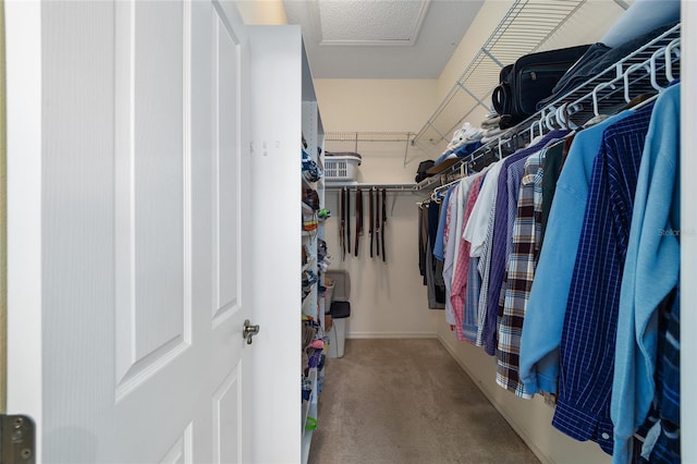 1417 Forest Acres Dr, The Villages, FL 32162 - spacious closet featuring attic access and carpet flooring