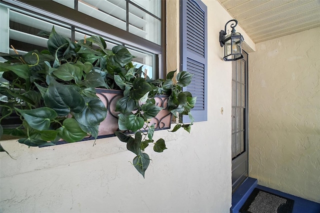 doorway to property featuring stucco siding