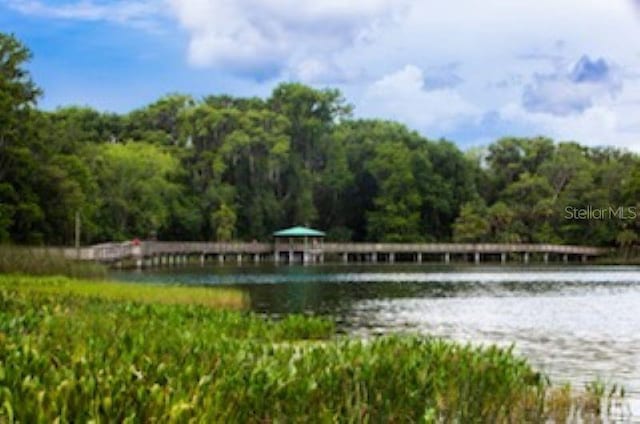 water view featuring a forest view