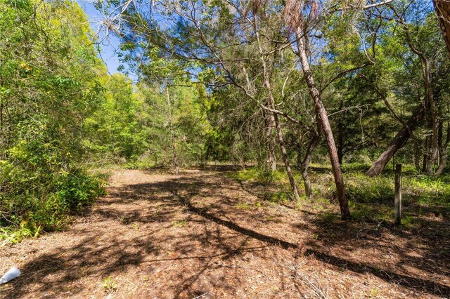 801 Kilgore St, Wildwood, FL 34785 - view of nature featuring a forest view