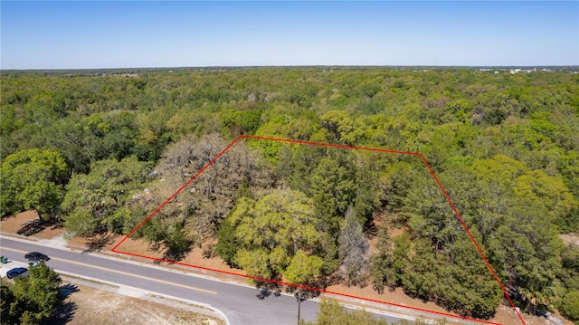 801 Kilgore St, Wildwood, FL 34785 - birds eye view of property with a view of trees
