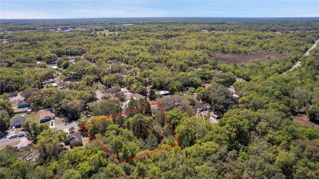 801 Kilgore St, Wildwood, FL 34785 - aerial view featuring a forest view