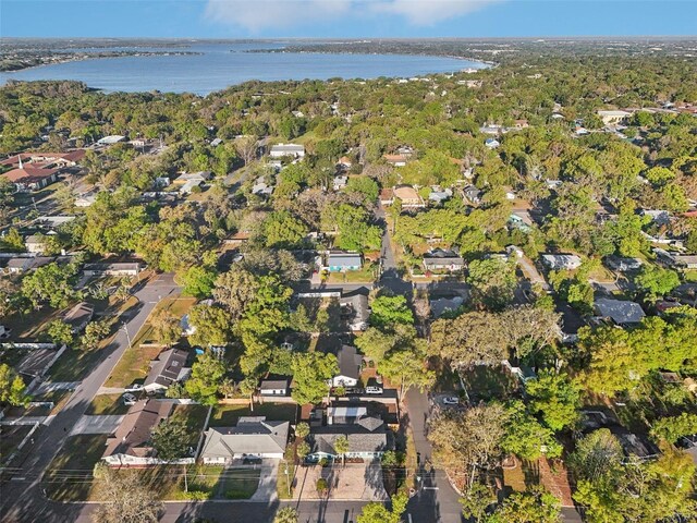 219 N Rossiter St, Mount Dora, FL 32757 - photo 49