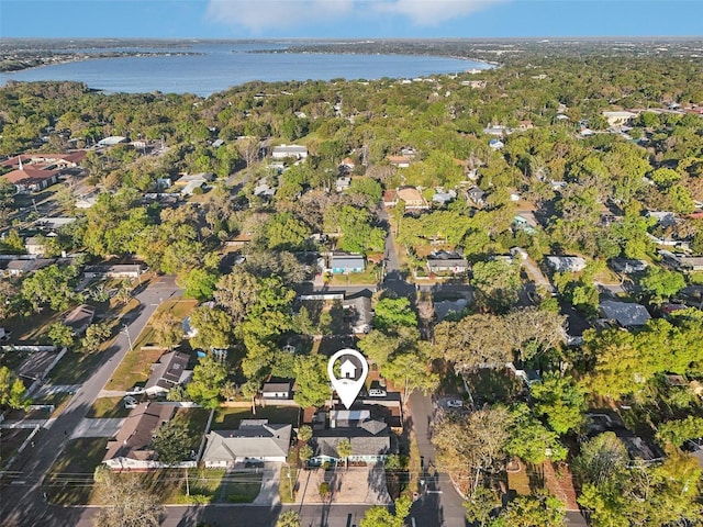 219 N Rossiter St, Mount Dora, FL 32757 - photo 50