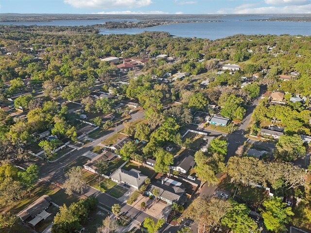 219 N Rossiter St, Mount Dora, FL 32757 - photo 51
