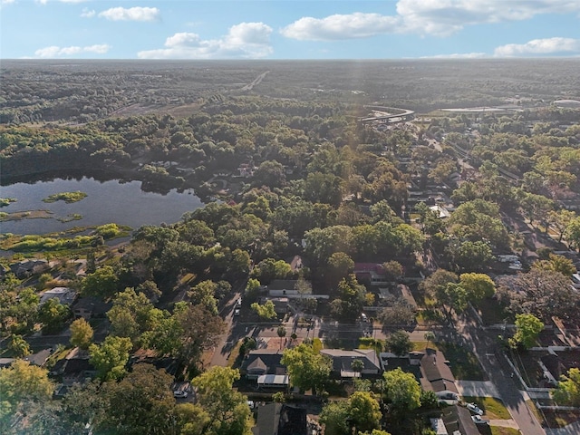 219 N Rossiter St, Mount Dora, FL 32757 - photo 54
