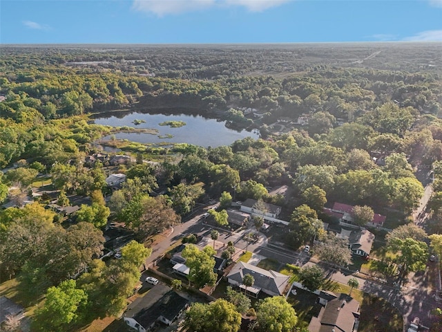 219 N Rossiter St, Mount Dora, FL 32757 - photo 53