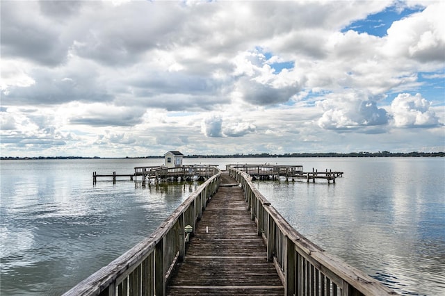 219 N Rossiter St, Mount Dora, FL 32757 - photo 64