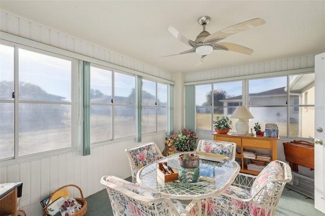sunroom featuring carpet