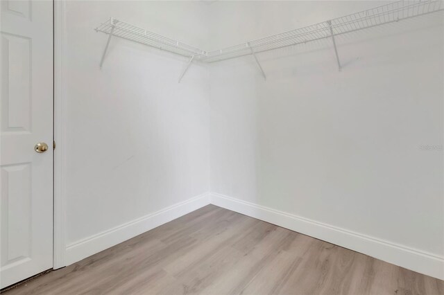 spacious closet featuring wood finished floors