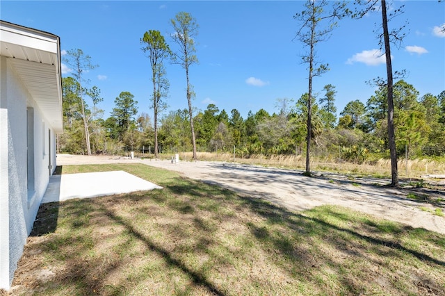 view of yard