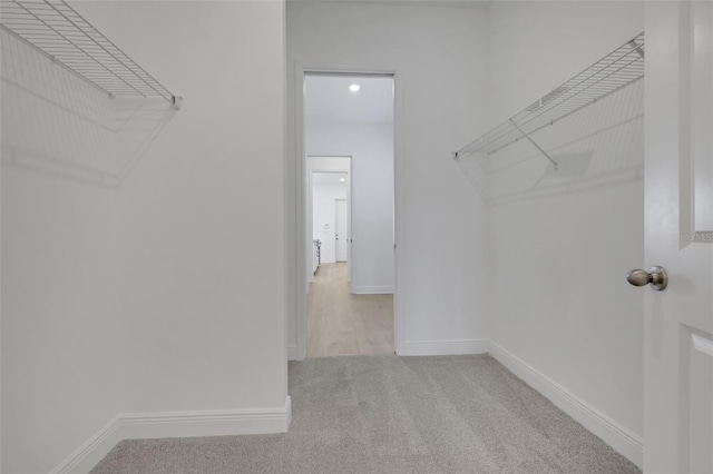 spacious closet featuring carpet floors