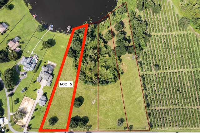 17925 County Road 448th Ave, Mount Dora, FL 32757 - photo 1