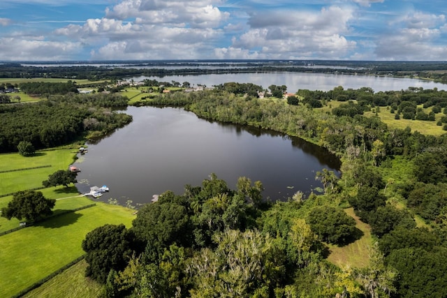 17925 County Road 448th Ave, Mount Dora, FL 32757 - photo 2