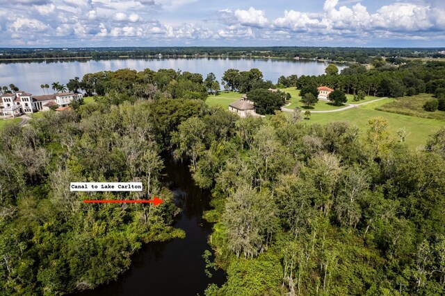 17925 County Road 448th Ave, Mount Dora, FL 32757 - photo 8