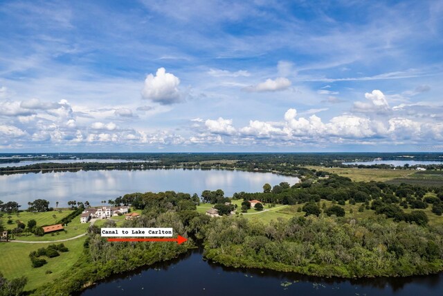 17925 County Road 448th Ave, Mount Dora, FL 32757 - photo 9