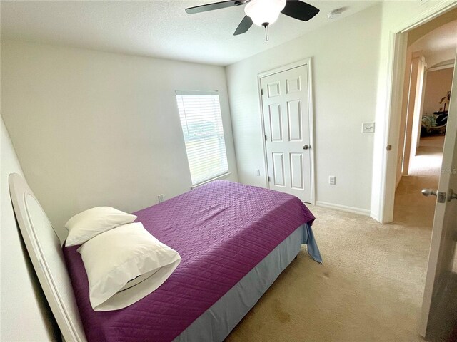 6698 Wirevine Dr, Brooksville, FL 34602 - photo 34