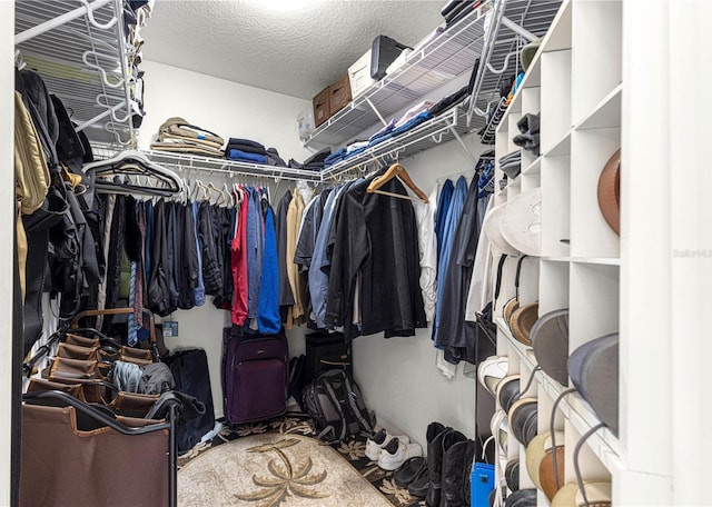 view of spacious closet
