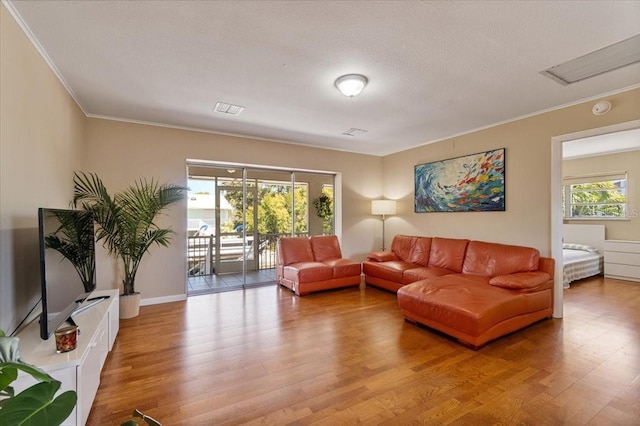 29051 Magnolia Ln, Big Pine Key, FL 33043 - living area with light wood-type flooring, plenty of natural light, ornamental molding, and visible vents