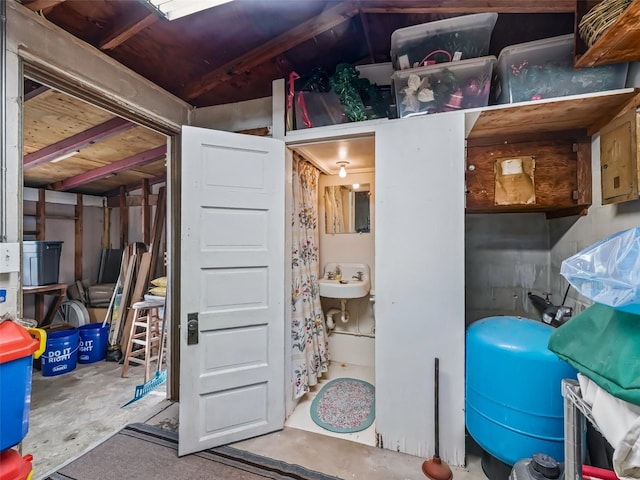 2376 Crk 444, Lake Panasoffkee, FL 33538 - basement with a sink
