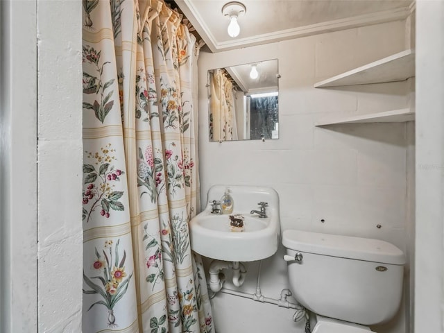 2376 Crk 444, Lake Panasoffkee, FL 33538 - bathroom featuring a shower with curtain, toilet, and a sink