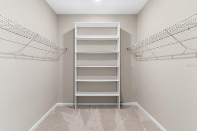 6003 Nightjar Ct, Okahumpka, FL 34762 - walk in closet with carpet