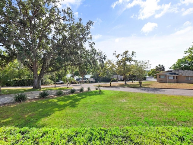 view of yard