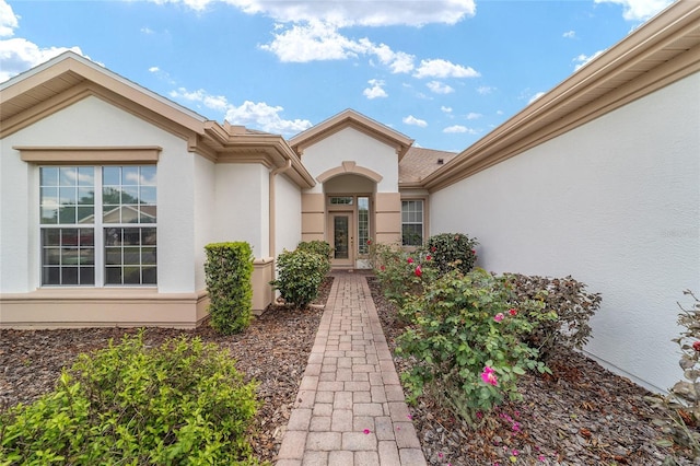 view of exterior entry with stucco siding