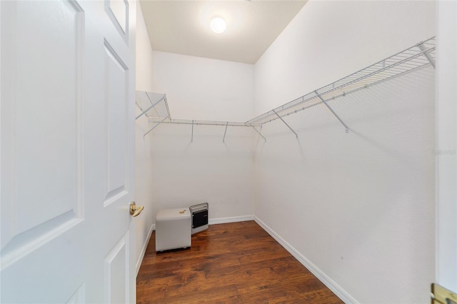 spacious closet featuring wood finished floors